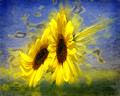Sunflower Spirits
